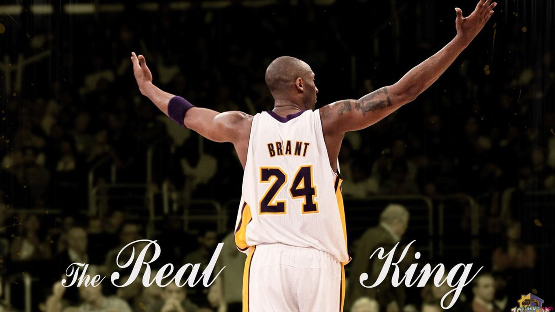 开云体育网址-粉丝狂欢夜：线上线下全力助威助阵，粉丝活动